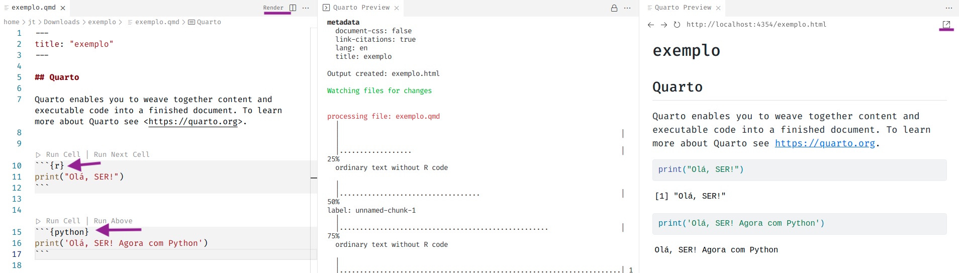 Print screen da IDE VSCode