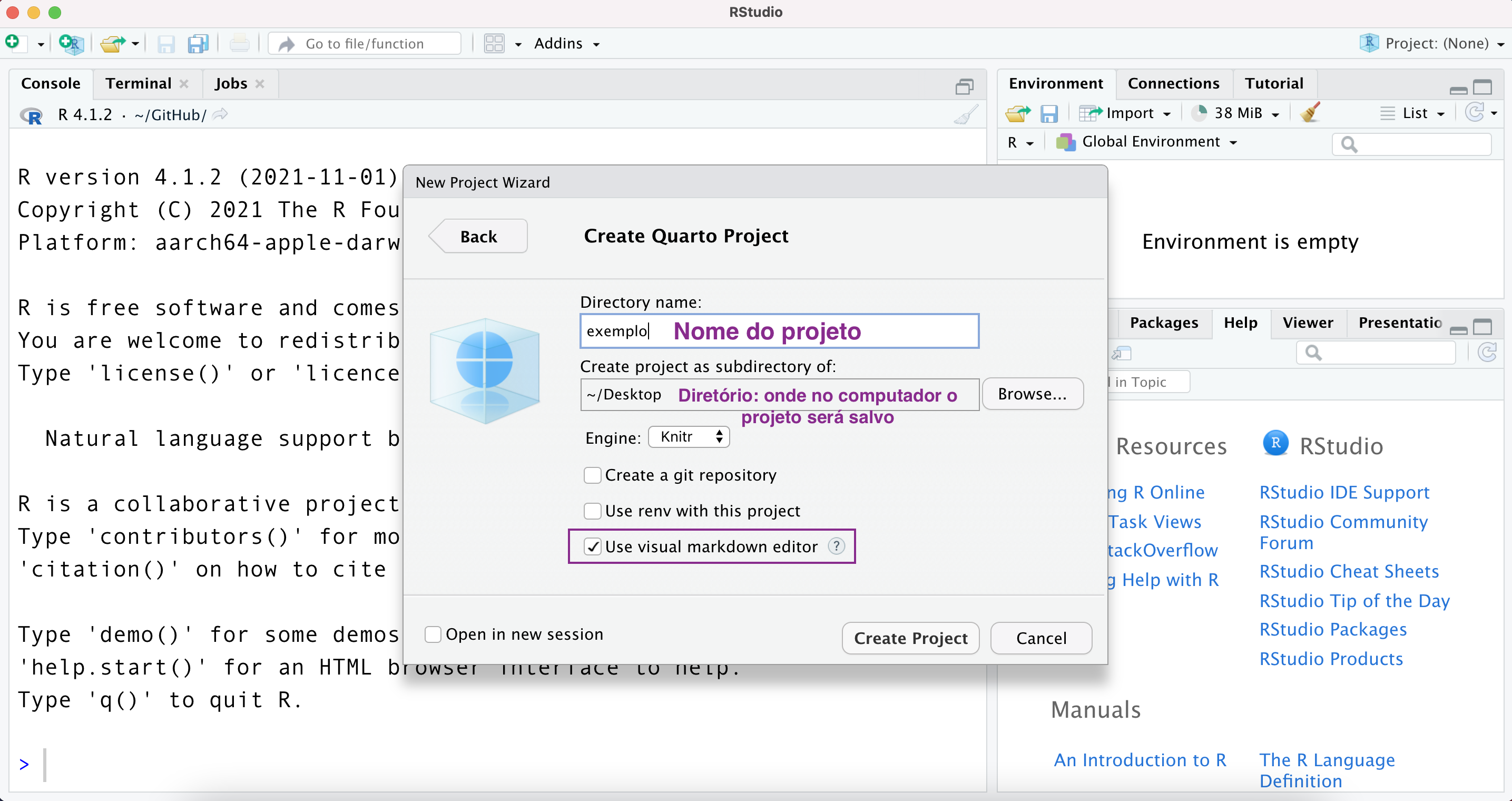 Print screen da IDE RStudio
